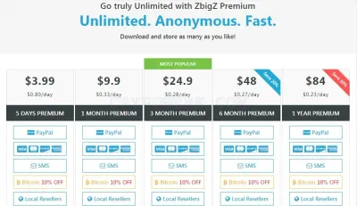 Zbigz.com photo