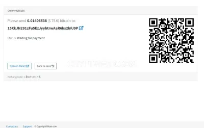 Zbigz.com photo