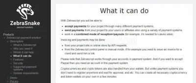 ZebraSnake payment solutions photo