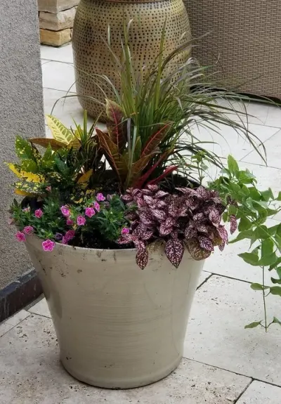 Zen Landscape Co. photo