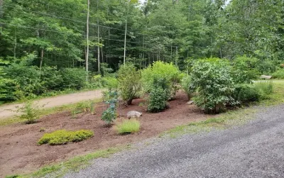 Zen Landscape Co. photo