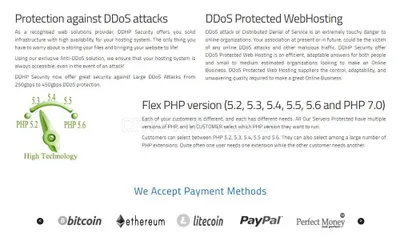 DDos Protected Hosting