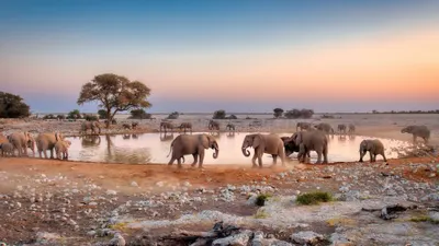 Discover Namibia - 10 nights