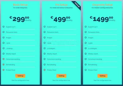 Facebook Ads Management