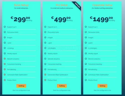 Google Ads Management