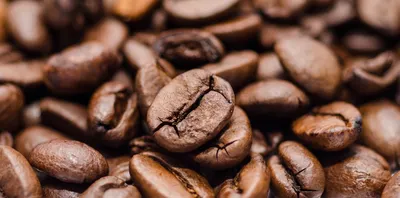 Guatemala Huehuetenango Coffee