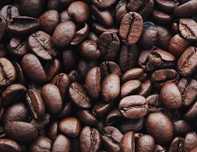 House Blend