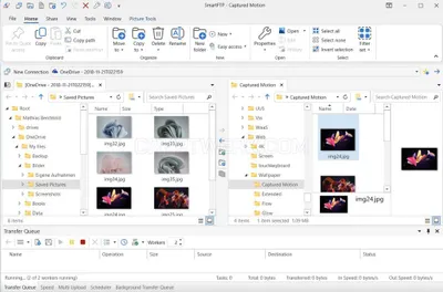 SmartFTP Client - Professional Edition