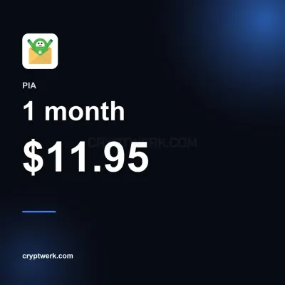 VPN 1 month