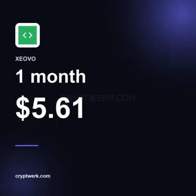 VPN 1 month