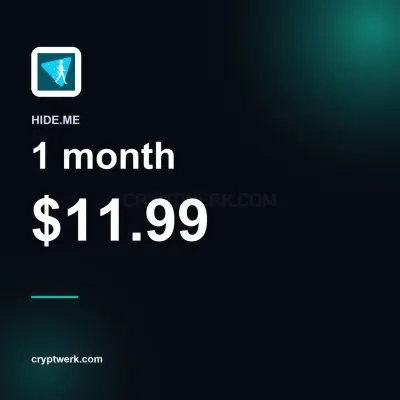 VPN 1 month