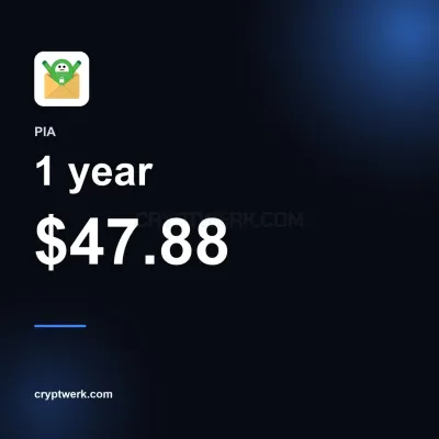 VPN 1 year