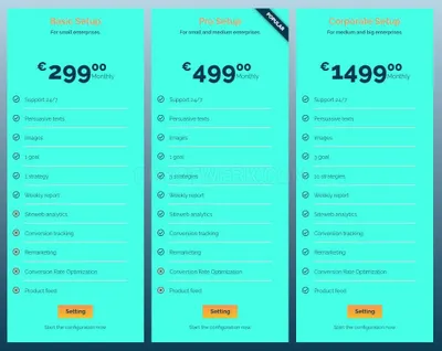 YouTube Ads Management