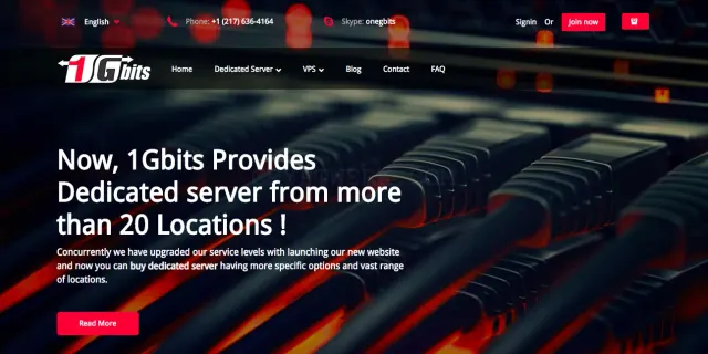 1gbits website