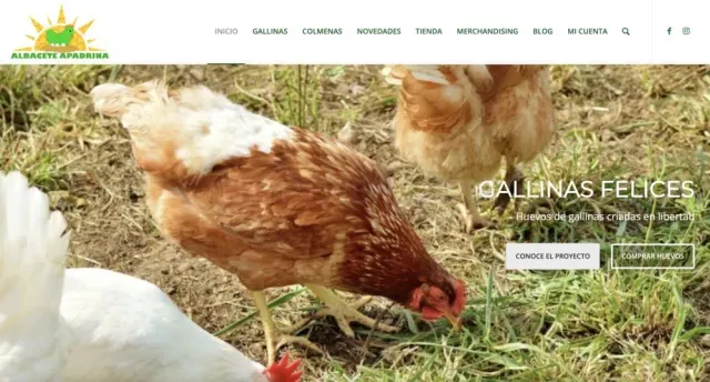 Albacete apadrina website