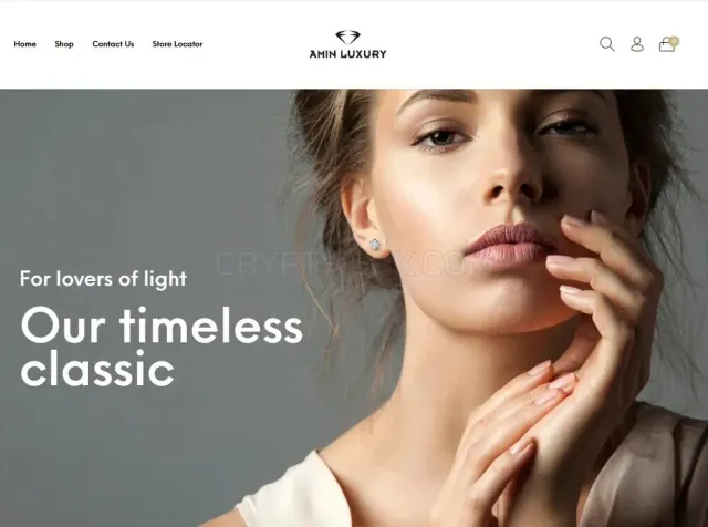 Amin Luxury website