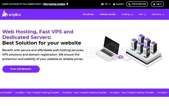 Amplica website