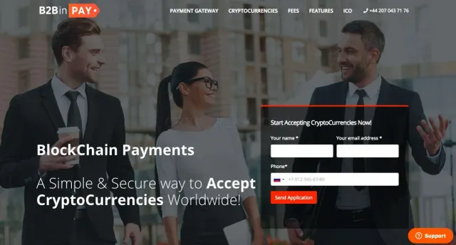 B2BinPAY website