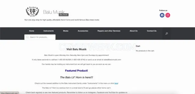Balu Musik website