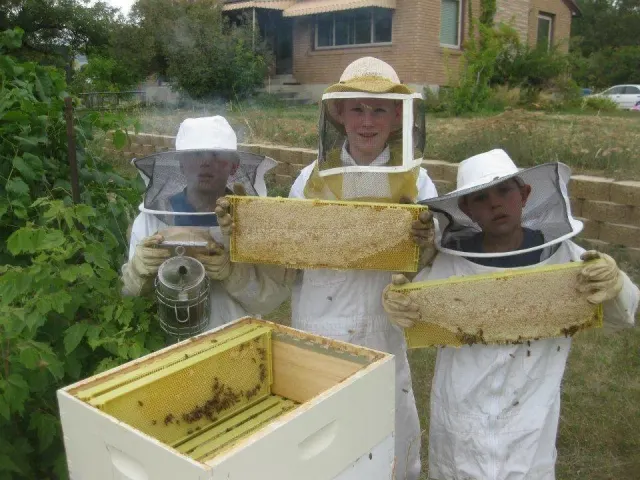 Bees Brothers website