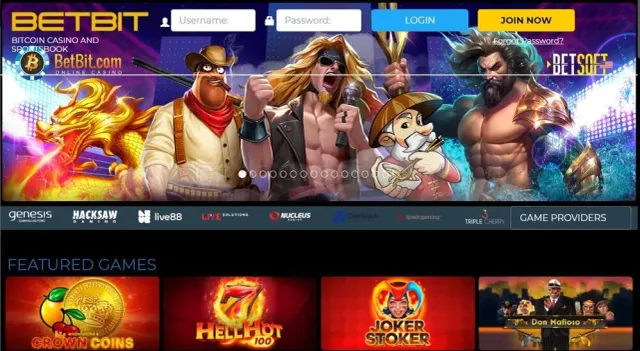 Betbit website