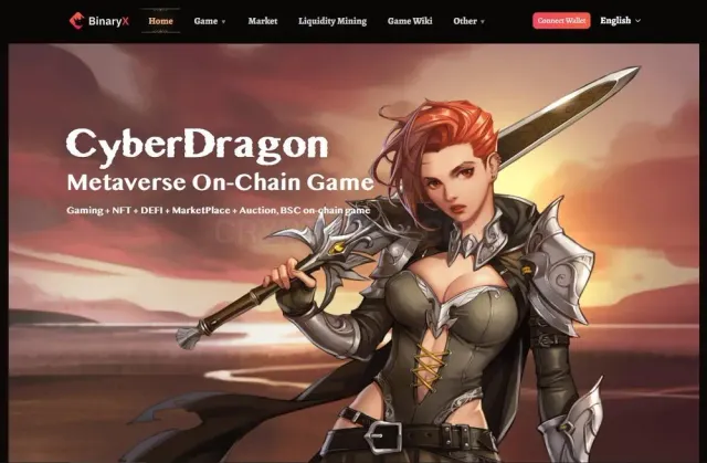 BinaryX.pro website