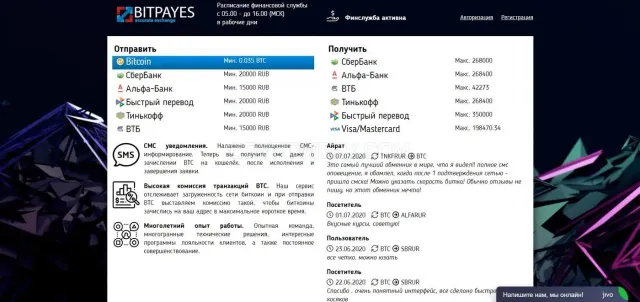 BitPayes website