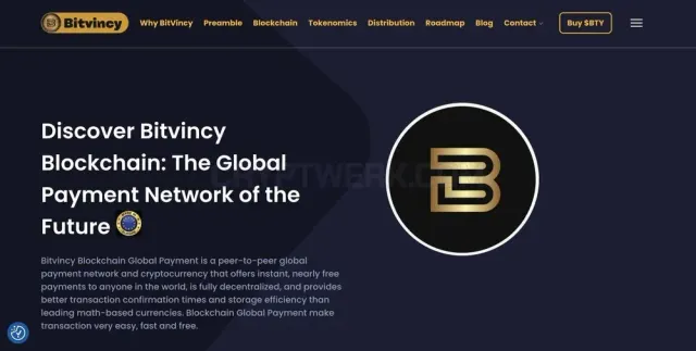 Bitvincy Foundation website