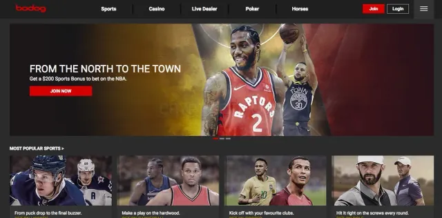 Bodog Casino website