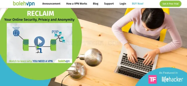 Bolehvpn.net website