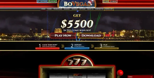 BoVegas website