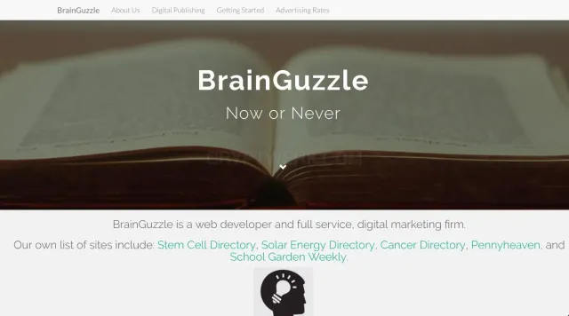 Brain Guzzle website