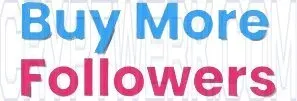 Buy More Followers website