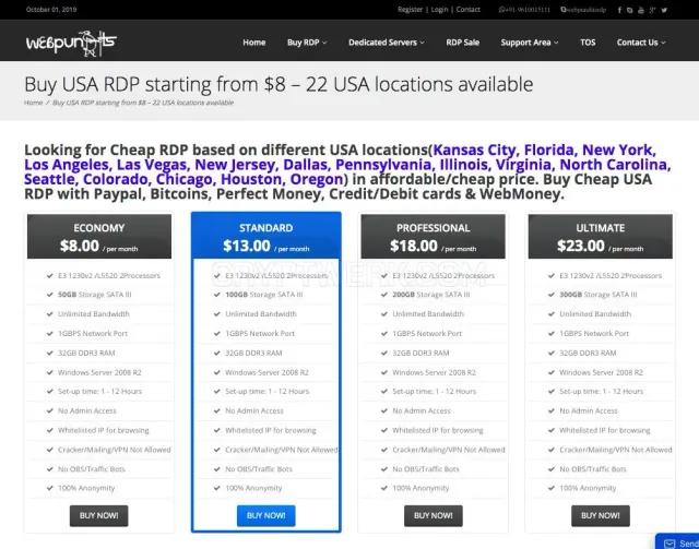 Buy USA RDP - Web Pundits website