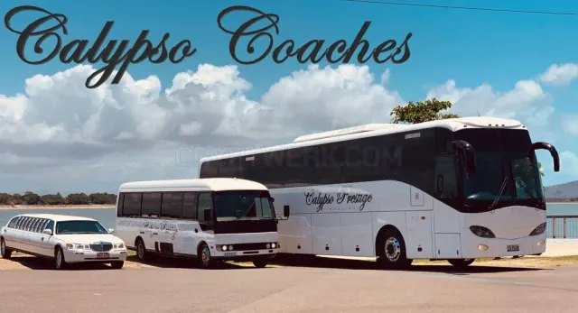 Calypso Coaches website
