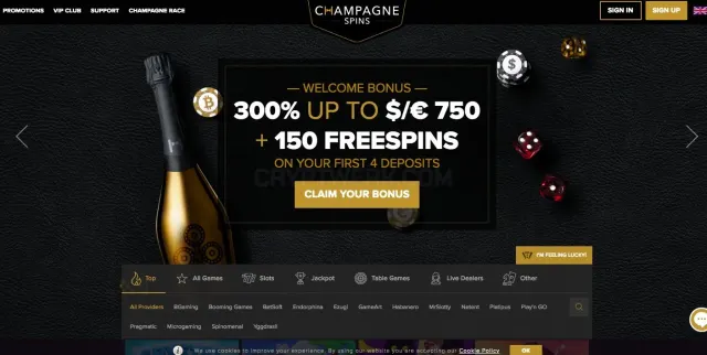Champagne Spins website