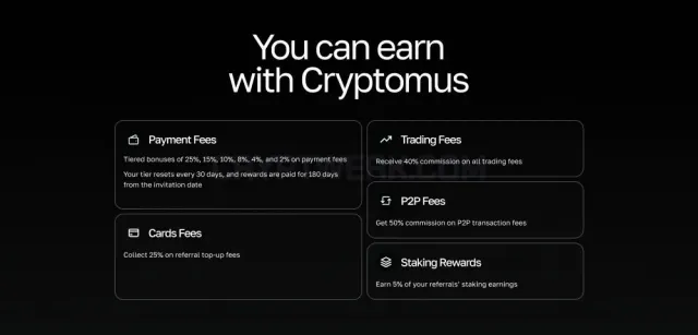 Sitio web de Cryptomus Cards