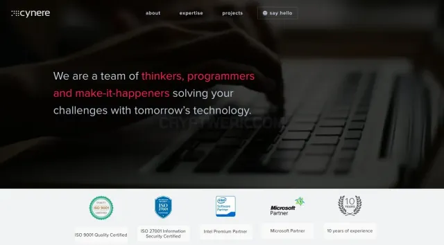 Cynere Infotech Private Limited website