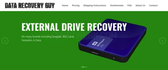 Data Recovery Guy website