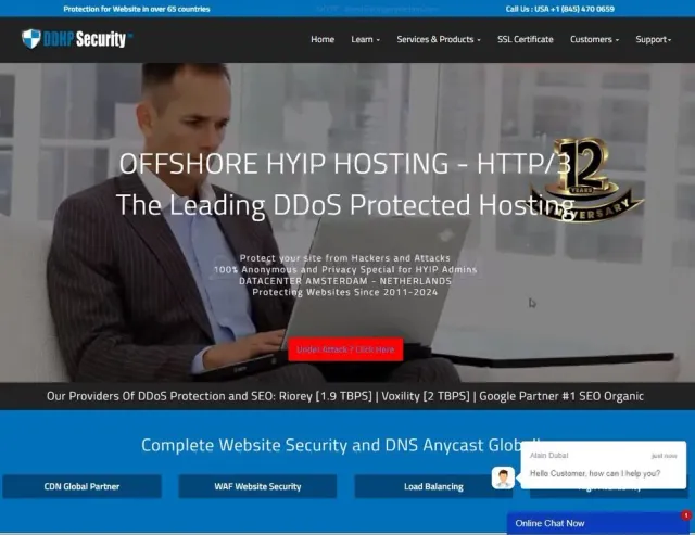 DDoS Protected Hosting website
