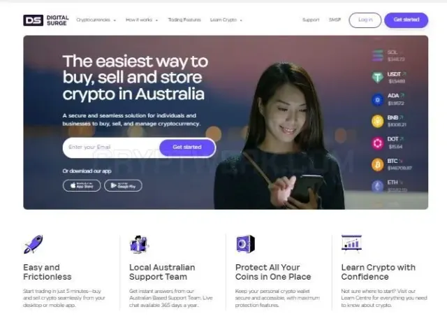 Digital Surge website