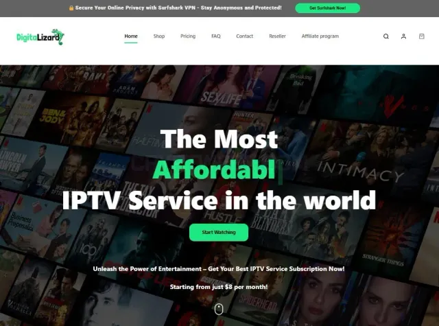 DigitaLizard website