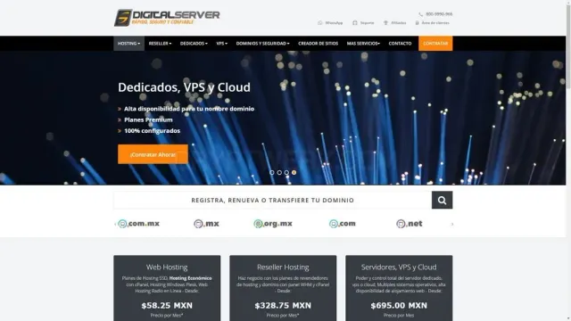 DigitalServer website