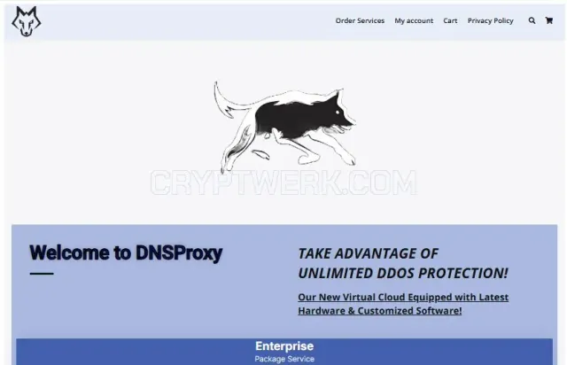 DNSProxy website