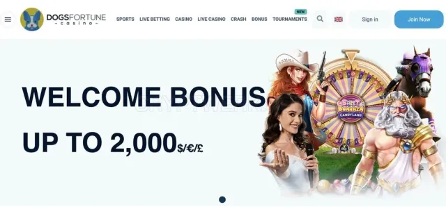 Dogsfortune.com website