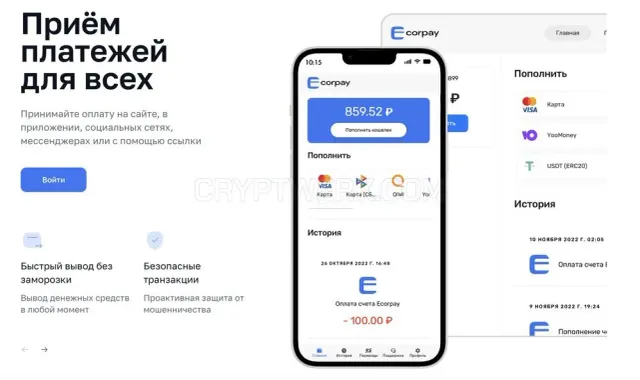 Ecorpay website