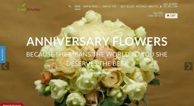 Euro Flowers website