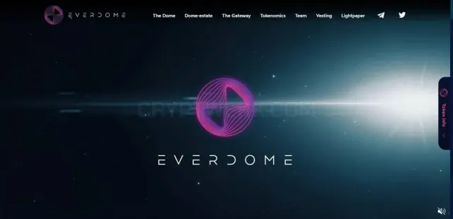 Everdome website