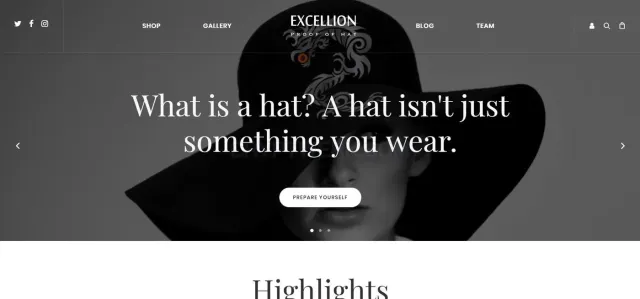 Excellion Style website