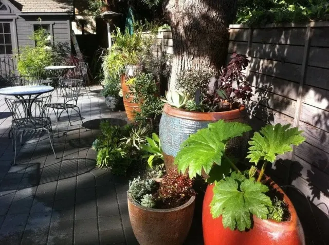 Farallon Gardens website